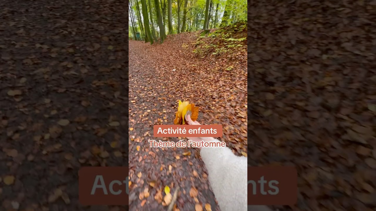 Nouvelle idée d’activité à faire dehors en automne avec un enfant de 2 ans ou plus 🍂
