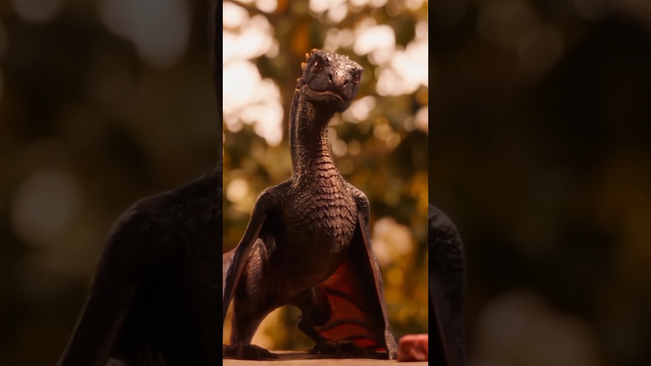 Baby Drogon learning Dracarys | Mother of Dragons | Khaleesi | Game Of Thrones | Dragons | Queen