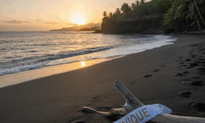 découvrez le parcours d'angélique angarni-filopon, miss france 2025, entre sa passion pour les livres, le cinéma et ses projets ambitieux avant de transmettre sa couronne.