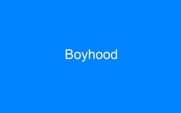 Lire la suite à propos de l’article Boyhood