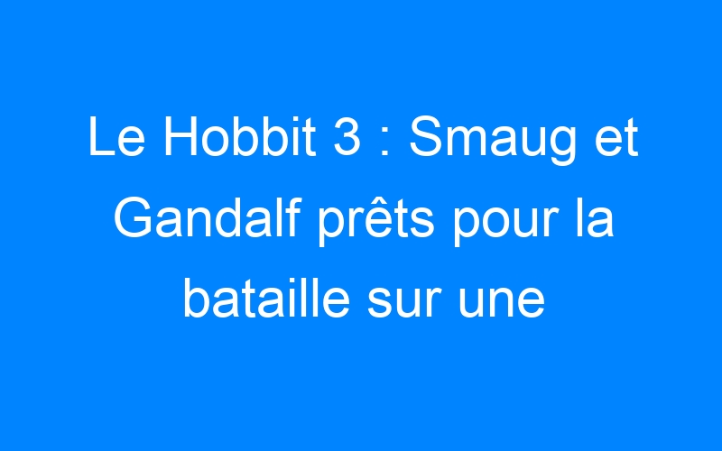 You are currently viewing Le Hobbit 3 : Smaug et Gandalf prêts pour la bataille sur une affiche et des photos