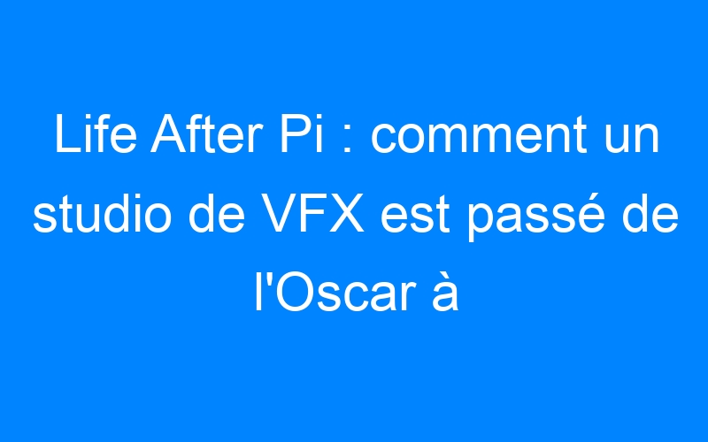 You are currently viewing Life After Pi : comment un studio de VFX est passé de l'Oscar à la faillite