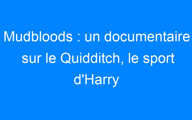 Mudbloods : un documentaire sur le Quidditch, le sport d'Harry Potter
