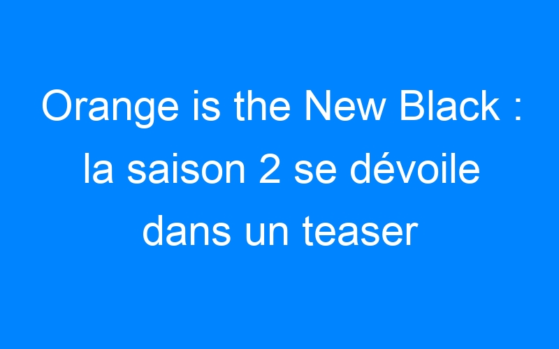 Lire la suite à propos de l’article Orange is the New Black : la saison 2 se dévoile dans un teaser