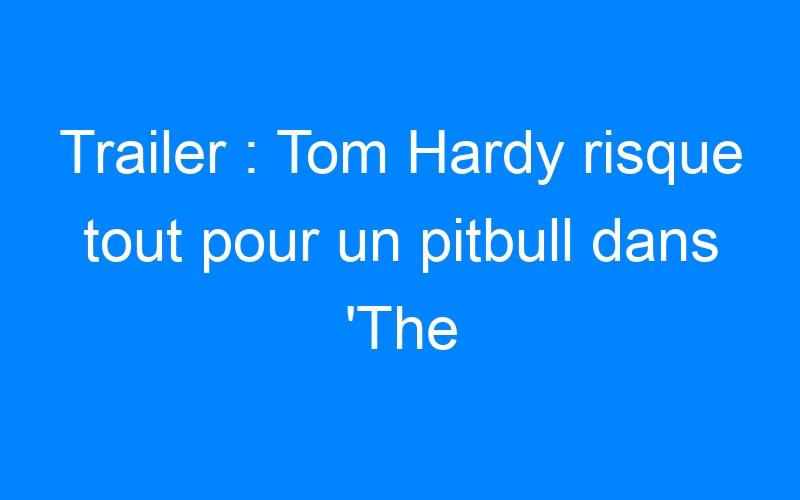 You are currently viewing Trailer : Tom Hardy risque tout pour un pitbull dans 'The Drop'